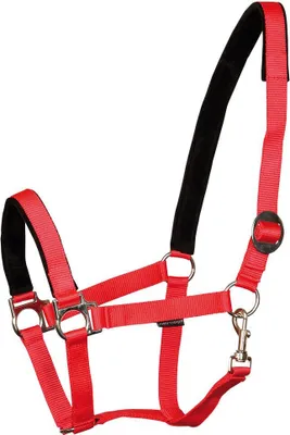 Zdjęcie produktu dla Harry´s Horse Padded Halfter Rot Extra Full Rot Extra Full