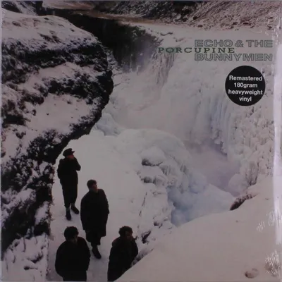 Image de Echo & The Bunnymen - Porcupine (LP)