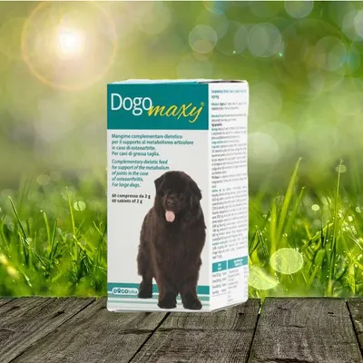 Produktbild von Dogoteka DogoMaxy 60 Tbl.