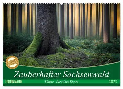 Produktbild von Zauberhafter Sachsenwald (Wandkalender 2027 DIN A2 quer), CALVENDO Monatskalender