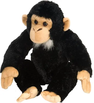 A plush toy chimpanzee sitting down against a white background.