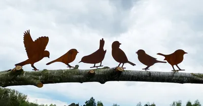 Produktbild von 6er Set VÖGEL mit Schraube zum Eindrehen in Holz Edelrost Gartendeko Rost Vogel Spatz Ast Gartenzaun Metall Rostfigur