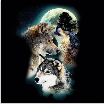 Produktbild von ARTland Glasbild Phantasie Wolf Wölfe mit Mond Größe: 40x40 cm