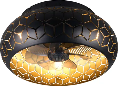 A close-up, straight-on view of a black and gold ceiling fan light fixture.