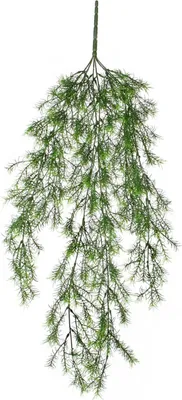 Produktbild von Mica künstlicher Springeria Hängend grün 76 cm
