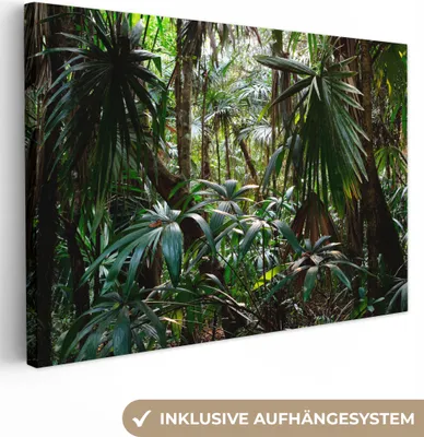 Produktbild von MuchoWow® - Leinwandbilder - Pflanzen im Regenwald, Wandbild, Wanddeko Bilder Wohnzimmer, 90x60 cm