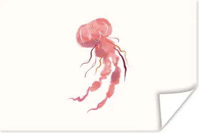 Produktbild von MuchoWow® Poster Quallen - Meerestiere - Rosa - Aquarell 60x40 cm - Schlafzimmerdekoration