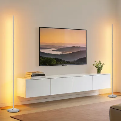 Zdjęcie produktu dla Lampa podłogowa EDISHINE 2 do salonu, lampa podłogowa LED z regulacją jasności, ciepła biel 3000 K z funkcją zapamiętywania ustawień, regulowana wysokość 146 cm, srebrna