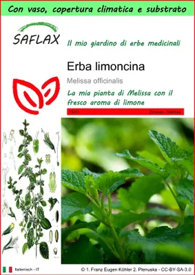 Immagine prodotto di SAFLAX Garden to go - Erba limoncina - 150 semi - Melissa