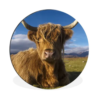 Produktbild von MuchoWow® Aluminium Wandkreis Schottische Highlander - Tiere - Gras Ø 30 cm Wanddeko Modern Wohnzimmer - Wand Bild - Wohnzimmer - Runde Bilder - Alubilder - Kunst für zu Hause - Aluminium - Wanddekoration