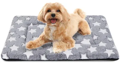 Immagine prodotto di Cuccia ortopedica per cani, lavabile, in peluche, 60x45 cm, colore bianco con stelle