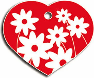 Produktbild von Identifikationsschild Imarc Heart Rot