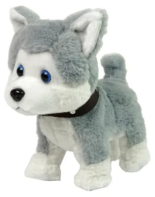 Produktbild von Plüsch-Hund, interaktive Lernleine, Lieder, Spaziergänge