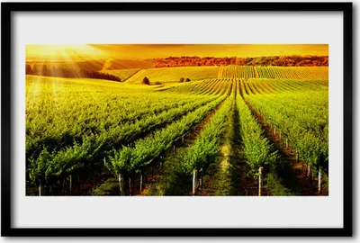 Produktbild von Bild 60x40 MDF-Rahmen Wandkunst Feld Natur