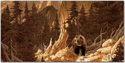 Produktbild von Coloray Küchenrückwand 120x60 Spritzschutz aus Glas - Bärenbergwald Natur