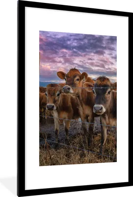 Produktbild von MuchoWow® Gerahmtes Poster Kuh - Tiere - Kühe 60x90 cm - Poster mit Schwarzem Bilderrahmen Wandposter Rahmen Foto Bilder - Dekoration - Wandposter Wohnzimmer - Hochwertig