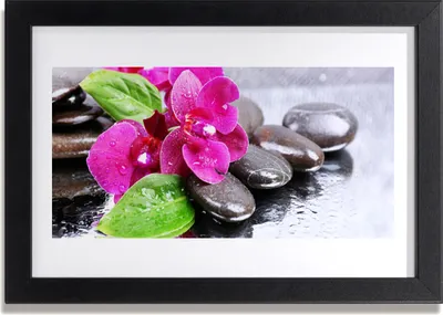 Produktbild von Bild 30x20 MDF-Rahmen Wandkunst Blume Orchidee Pflanze