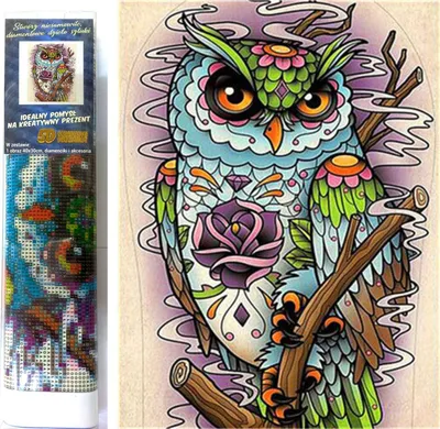 Obrázek produktu pro Norimpex Diamantové malování Moudrá sova 30x40cm
