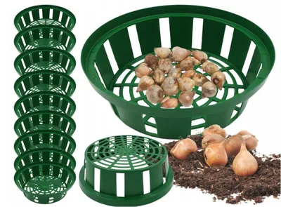 Immagine prodotto di Set di 10 vasi resistenti alle intemperie per bulbi da fiore