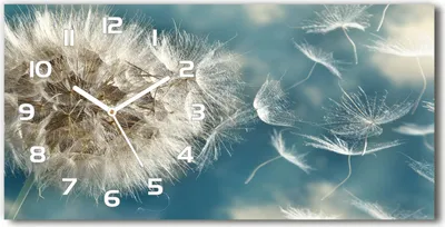 Produktbild von Wanduhr aus Glas – 60x30 cm - Glasbild - Glasuhr - Gehärtetes Glas - weisse-zeiger - Löwenzahn