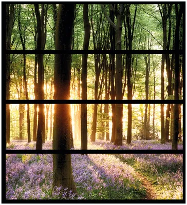 Produktbild von Wallario Möbelfolie / Aufkleber, geeignet für Ikea Malm Kommode mit 4 Schubfächern - Blaue Hasenglöckchen im Wald mit Sonnenstrahlen