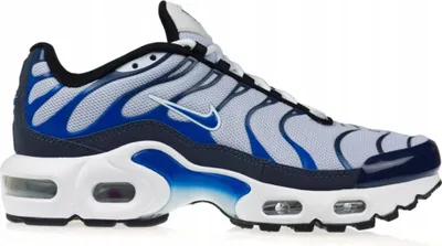 Produktbild von Schuhe Nike Air Max Plus CD0609409