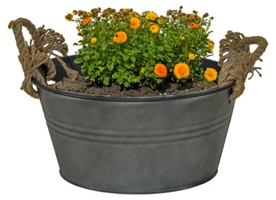 Produktbild von Mega Collections Teekanne/Pflanzkanne Old Rope -Zink - anthrazit - D40 X 14 cm