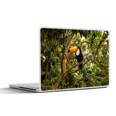 Produktbild von MuchoWow® Laptop Aufkleber Sticker Cover Vogel - Tukan - Dschungel - Natur - Tropisch 31x22.5 cm - Laptop-Deko