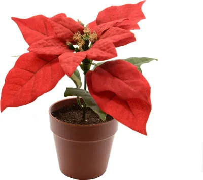 Produktbild von Kaemingk Weihnachtsdekoration aus roter Seide im Topf, Ø16cm, Höhe 14cm