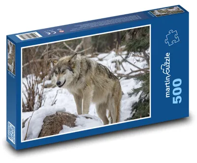 Zdjęcie produktu dla Puzzle 500 Wilk w zimowym lesie - martinpuzzle
