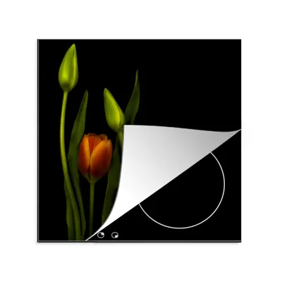 Produktbild von KitchenYeah© Herdabdeckplatte Orangefarbene Tulpen und Tulpenknospen vor einem schwarzen Hintergrund , 78x78cm, Küche Deko, Glaskeramikkochfeld Herdabdeckung, Abdeckplatte fùr Kochfeld
