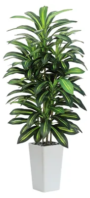 Produktbild von Künstlicher Drachenbaum, 180 cm hoch, große künstliche Zimmerpflanze im weißen Topf, künstliche Topfpflanze für drinnen und draußen, für Zuhause, Büro, Garten, moderne Dekoration