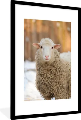 Produktbild von MuchoWow® Gerahmtes Poster Schafe - Schnee - Wolle 60x90 cm - Poster mit Schwarzem Bilderrahmen Wandposter Rahmen Foto Bilder - Dekoration - Wandposter Wohnzimmer - Hochwertig