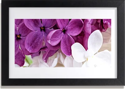 Produktbild von Bild 30x20 MDF-Rahmen Wandkunst Blumen Pflanzen Natur