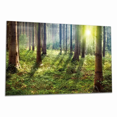 Produktbild von Wallario Herdabdeckplatte aus Glas, Größe 90 x 52 cm 1-teilig, Motiv Sonnenuntergang im Wald zwischen den Bäumen