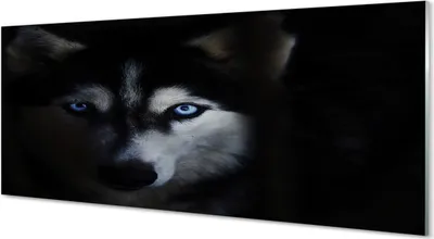 Produktbild von Glasbilder 125x50 Wandkunst Wolf Augen