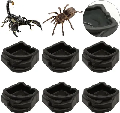 Produktbild von resin mini schalen 6er pack, wasser- und futternapf für spinnen, taranteln, millepede, kleine reptilien, terrarium zubehör, robust & sicher