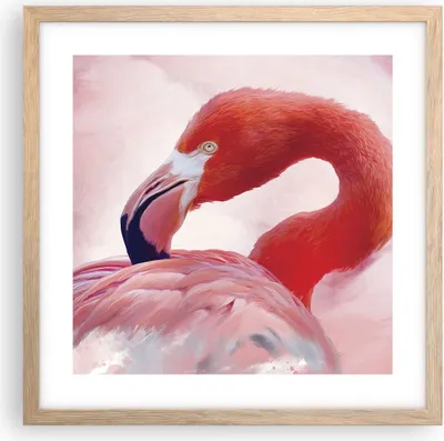 Produktbild von Gerahmtes Poster - Rahmen in heller Eiche - Flamingo Vogel Porträt - 40x40 cm - Wand Bild - Wanddeko - Wandbilder - Kunstposter - Wandposter - Bilderrahmen - Bilder - Kunstdruck - P2NAC40x40-4984