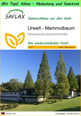 Produktbild von SAFLAX Garden to go - Urwelt - Mammutbaum - Metasequoia glyptostroboides - 60 Samen - Mit Topf, Klima - Deckel und Anzuchtsubstrat