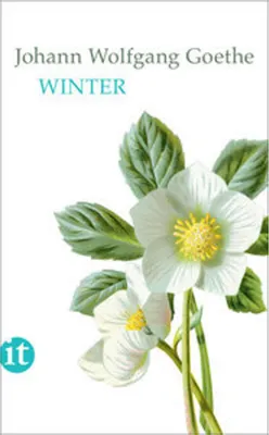 Image de Winter