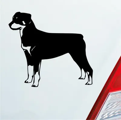 Produktbild von Auto Aufkleber Rottweiler Tier Hund Dog Animal 11x10 cm Schwarz Matt Sticker Heckscheibenaufkleber