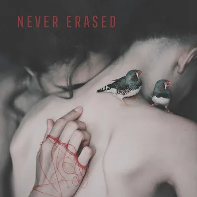 Obrázek produktu pro Various Artists - Never Erased (Limited Edition) (LP)