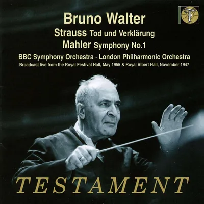 Obrázek produktu pro Gustav Mahler (1860-1911): Symfonie č. 1 - - - (CD / S)