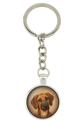 Immagine prodotto di Rhodesian Ridgeback - portachiavi con la tua foto, decorazione per chiavi, ciondolo per borsa del marchio Art-Dog