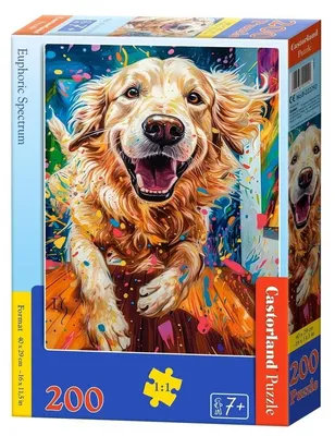 Immagine prodotto di Puzzle 200 pezzi Euphoric Spectrum 222292 Castorland