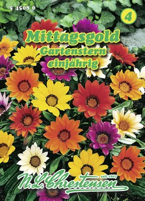 Zdjęcie produktu dla Mittagsgold Gartenstern | Nasiona kwiatów firmy N.L. Chrestensen