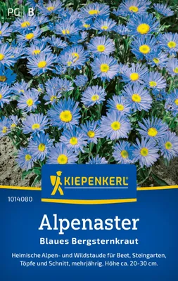 Produktbild von Kiepenkerl Alpenastersamen Blaues Bergsteinkraut Aster alpinus 30 Pflanzen