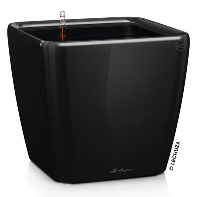 Image de LECHUZA Pot de fleurs QUADRO Premium LS 35 Noir brillant | Pot de fleurs avec système d'arrosage | Surface brillante | 35,5 x 35,5 x 32,5 cm | 16169