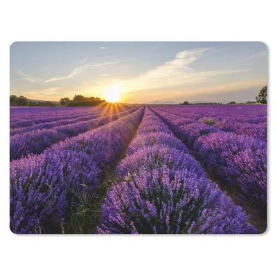 Produktbild von MuchoWow® Mauspad Mousepad Lavendel - Blumen - Sonnenuntergang - Lila 23x19 cm - Mousepads - Maus Mat - Pad - Mausunterlage - Schreibtischunterlage - Mauspad