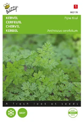 Productafbeelding van Kerbel Krauser | Kerbelsamen van Buzzy Seeds